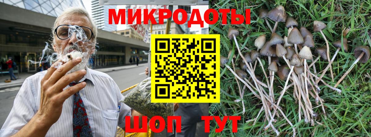 Галлюциногенные грибы Psilocybe Краснокамск
