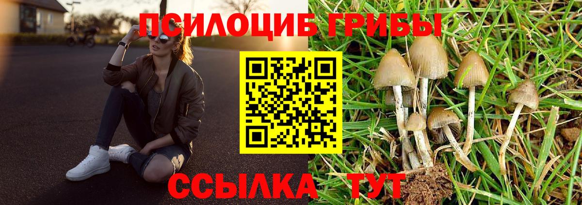 Краснокамск  Галлюциногенные грибы Psilocybine cubensis  Вход с VPN 
